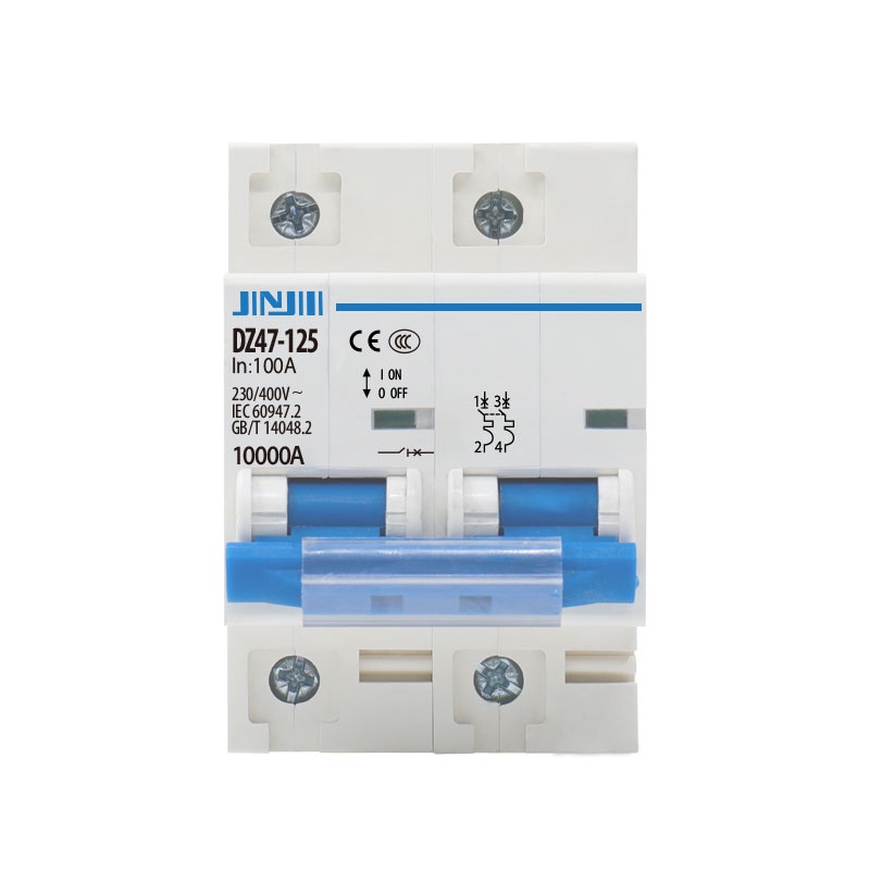 2P DZ47-125 80A 100A 125A High level MCB RCCB OEM ODM Service Electrical Miniature Circuit Breakers 