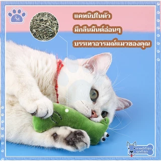 ตุ๊กตาแคทนิป มีแคทนิปในตัว ของเล่นแมว/กัญชาแมว หลากหลายรุ่นให้เลือก บรรจุมาในตุ๊กตา แก๊งค์น้องคอยาว สุดคิ้วท์