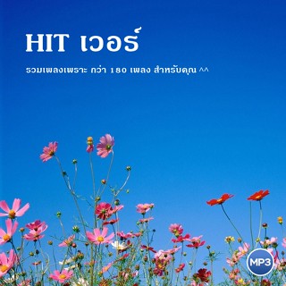 CD MP3 เพลงไทย อัลบั้ม HIT เวอร์ รวมเพลงเพราะ สำหรับคุณ กว่า 180เพลง