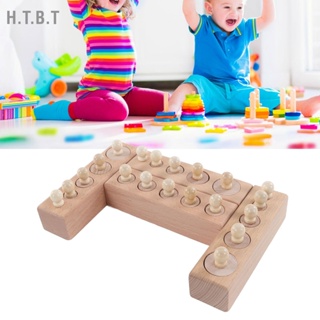 Cylinder Socket Toy Beech Wood Educational Knobbed Cylinders Blocks for Early Childhood Education