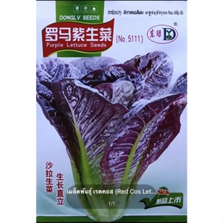 เมล็ดพันธุ์ เรดคอส (Red Cos Lettuce) บรรจุ 1000 เมล็ด