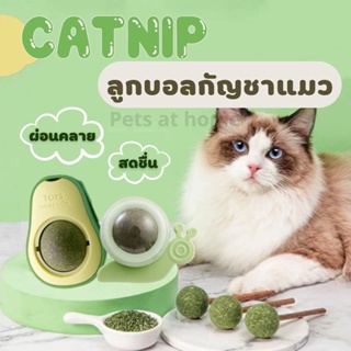 กัญชาแมว ของเล่นแมว แคทนิปบอล สมุนไพรออร์แกนิค Catnip ballลูกบอลแมว ติดกำแพง