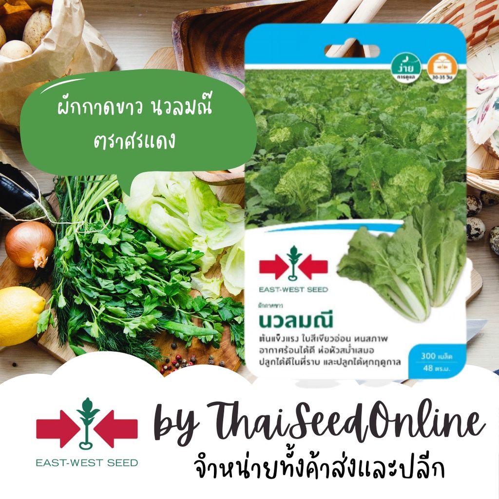 GGEW เมล็ดพันธุ์ซฟ ผักกาดขาว ขาวใหญ่ นวลมณี ตราศรแดง ขาวใหญ่ ผักกาด Cabbage