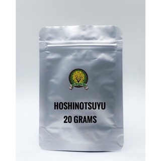 (ของแท้) Hoshinotsuyu (กระปุกเหลือง) มัทฉะจากฟุกุโอกะ (Gokou, Samidori, Okumidori, Saemidori cultivar)