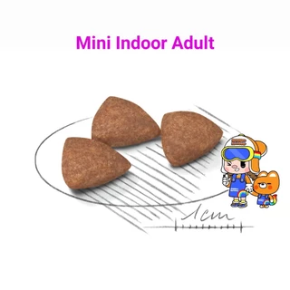 Royal Canin Mini Indoor Adult 1.5kg / Royal Canin Mini Indoor Senior โรยัลคานิน สุนัขพันธุ์เล็ก เลี้ยงในบ้าน