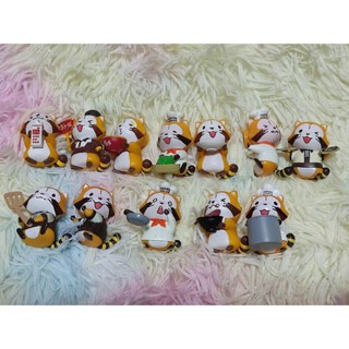 🧡💛รวม Rascal the Raccoon แรคคูน ราสคาล magnet แม่เหล็กติดตู้เย็นน้องแรคคูนสุดน่ารัก💛🧡มีหลายแบบมาให้เลือกจ้า