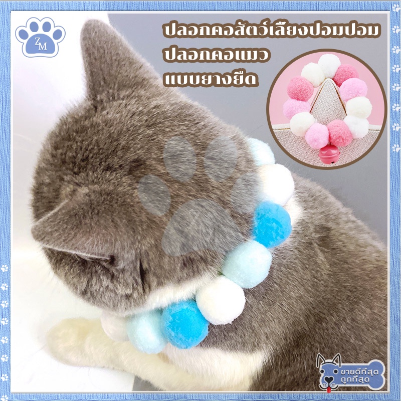 รูปภาพ 8