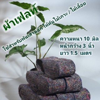 ผ้าเฟลท์  ใช้สำหรับพันเสาหลักให้ต้นไม้เกาะไม้เลื้อย