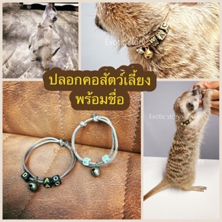 ปลอกคอสำหรับสัตว์พิเศษexoticpet/สัตว์เลี้ยงทุกชนิด