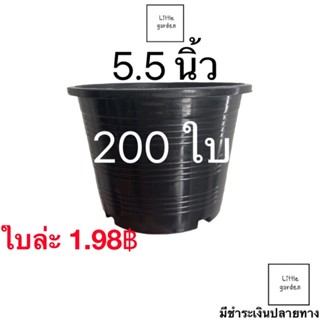 Little กระถางแคคตัส กระถางกระบองเพชร กระถางต้นไม้ 5 นิ้ว 5.5 นิ้ว  200 ใบ