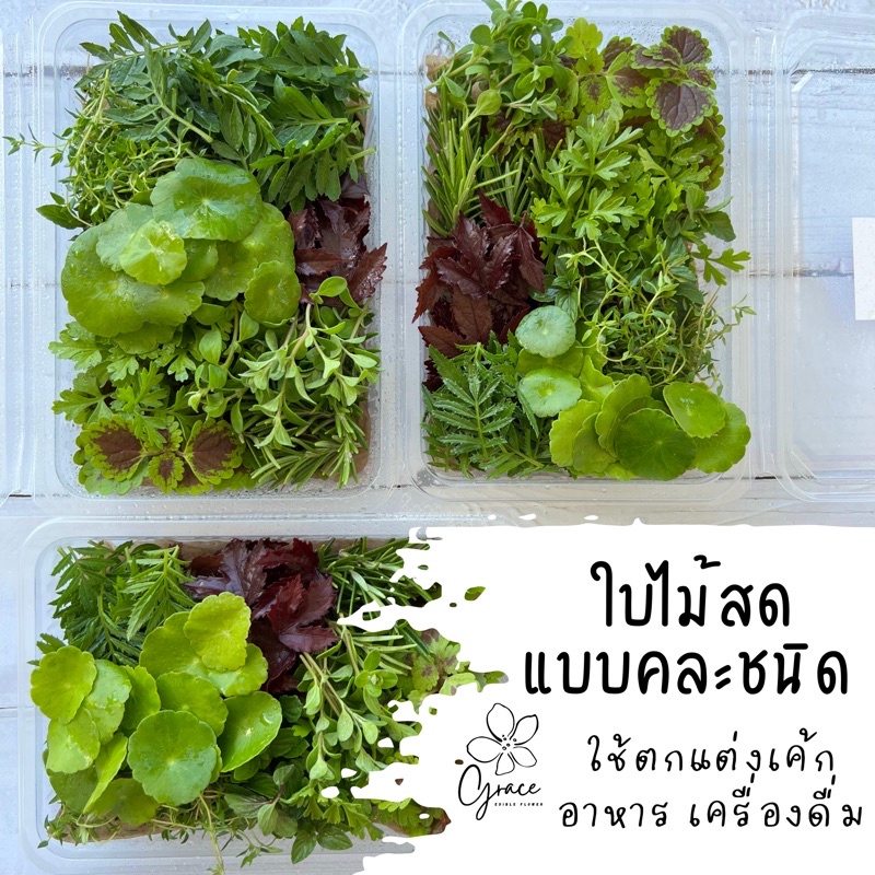 อันดับหนึ่ง 100+ ภาพพื้นหลัง ใบไม้ ตกแต่งเครื่องดื่ม สวยมาก