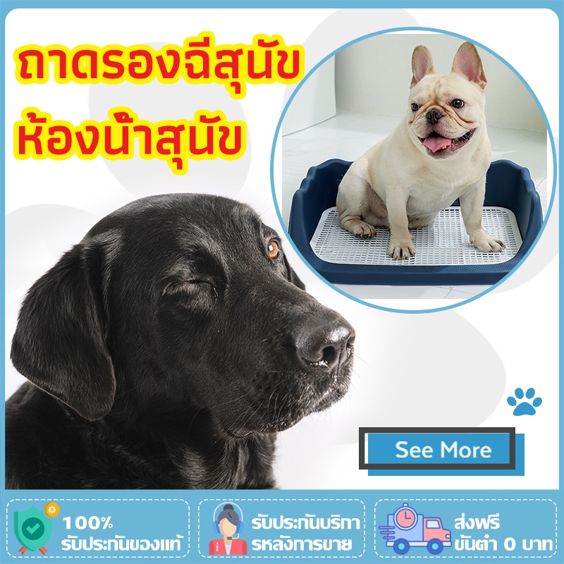 ห้องน้ำสุนัข ถาดรองฉี่สุนัข ห้องน้ำหมา สุนัข แบบขอบสูง ถาดฉี่สุนัข มีตะแกรงรองถาด ถาดฝึกฉี่สุนัข (มีเสาถอดได้)