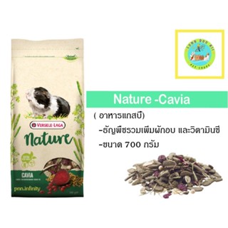 Nature Cavia อาหารหนูแก๊สบี้ เนเจอร์ คาเวีย 700ge. (ตัวแพคเกจ)