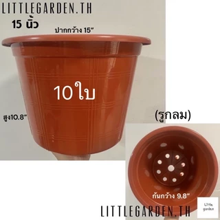Little กระถางต้นไม้ 15 นิ้ว 10 ใบ สีดำ สีขาว สีอิฐ