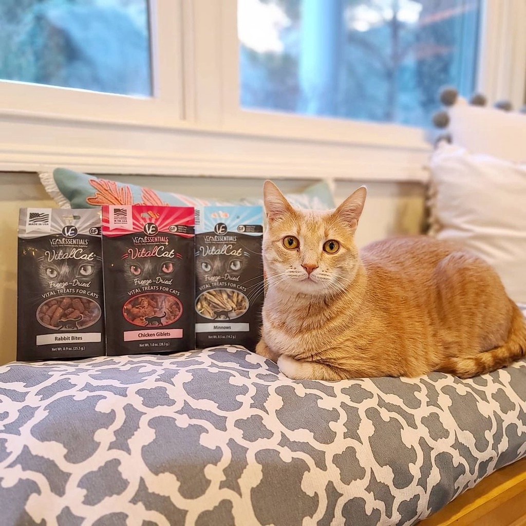 Vital Essential Freeze Dried Cat Treats 20-25 กรัม ขนมแมวเกรดพรีเมี่ยม x Petsister ราคา ถูกที่สุด ดีลบีเคเค แกลเลอรีภาพที่ 2