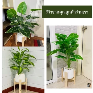 [ออกใบกำกับภาษีได้](ไม่มีขาตั้ง)🍃ต้นไม้เสมือนจริง สูง 85 ซม. พร้อมกระถางมินิมอล 7 นิ้ว (ฟรี!!หิน)