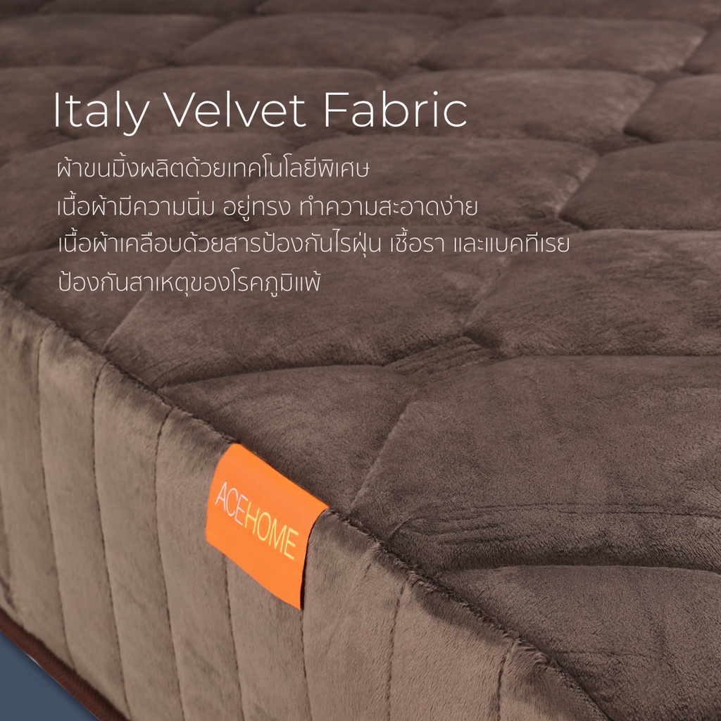 ZEN Collection ที่นอ