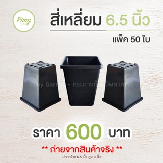 50 ใบ กระถางต้นไม้ กระถางปลูกตอ ทรงสี่เหลี่ยม สูง 6.5x8 นิ้ว สีดำ