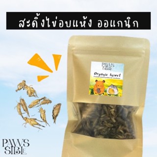 (paws-sible) สะดิ้งไข่อบแห้ง แมลงอบแห้ง ขนมแฮมเตอร์ ขนมสัตว์ฟันแทะ อาหารสัตว์ฟันแทะ อาหารชูการ์ไกล์เดอร์ อาหารชูก้า