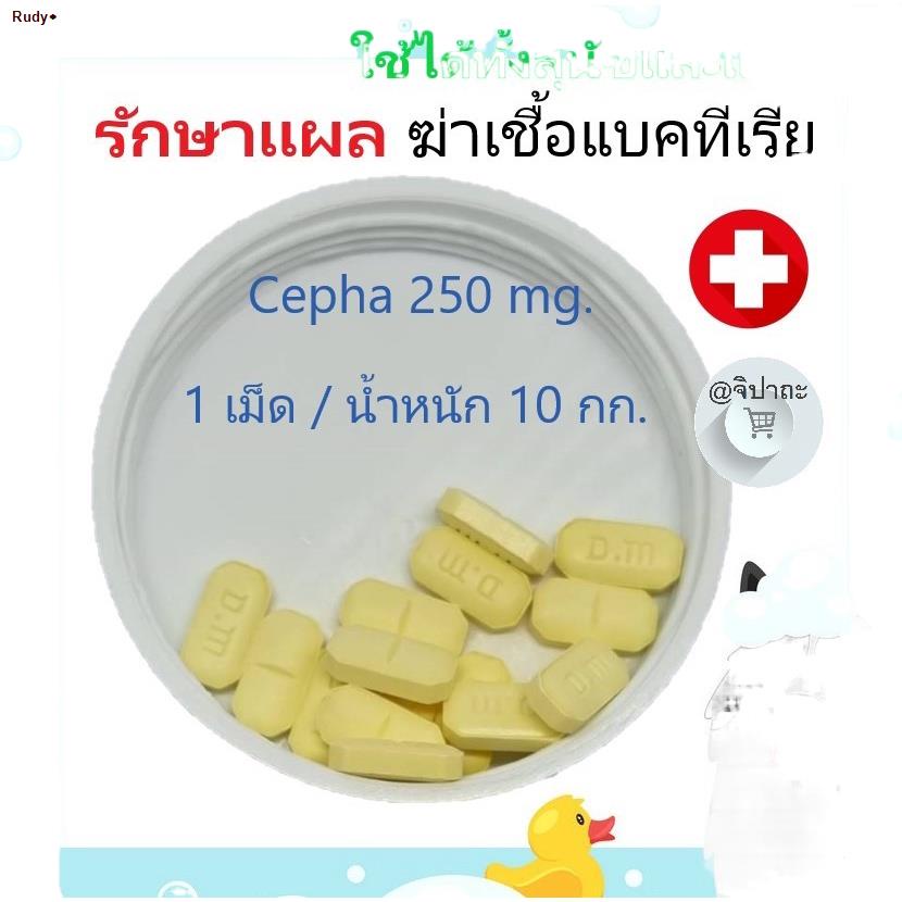 Cepha ถูกที่สุด พร้อมโปรโมชั่น พ.ย. 2022|BigGoเช็คราคาง่ายๆ