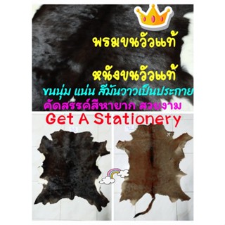 พรม พรมขนวัวแท้ หนังลูกวัวแท้ ฟอกแล้ว ขนนิ่ม Real Cow leather carpet, Cowhide Rug.
