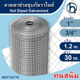 ลวดตาข่ายสี่เหลี่ยมกรงไก่ ชุบกัลวาไนซ์(ชุบร้อน) ตา1นิ้ว ลวด1.2มิล (0.9x30เมตร) กรงไก่กรงนก ล้อมต้นไม้ ไม่เป็นสนิม