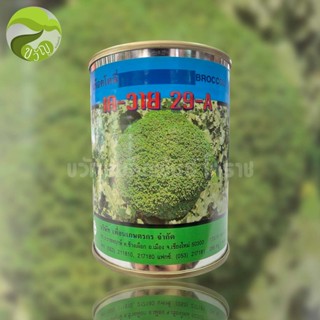 เมล็ดพันธุ์ บร็อคโคลี่ เควาย 29-A