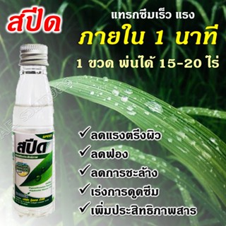 สปีด ซึมเร็ว 1 นาที พ่นได้ 15-20 ไร่ *สุดยอดยาจับใบ* สารเพิ่มฤิทธิ เพิ่มประสิทธิภาพ หญ้าแมลง ตายดีตายนานตายเรียบ 50 ซีซี