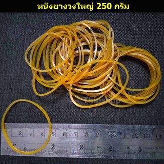 หนังยางวงใหญ่ 250 กรัม เครื่องบินพลังยาง สพฐ.