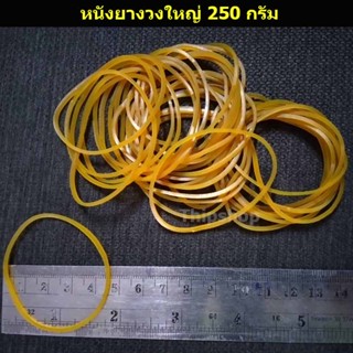 หนังยางวงใหญ่ 250 กรัม เครื่องบินพลังยาง สพฐ.