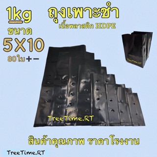 ถุงเพาะชำ 5X10 (1KG) เนื้อHDPE ราคาถูกที่สุด