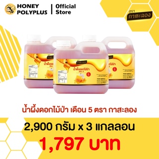 Kasalong Wildflower Honey 2.9 kg (Pack of 3) น้ำผึ้งสะลอง น้ำผึ้งดอกไม้ป่า 2.9 กิโลกรัม (3 แกลลอน) - เอื้องหลวงเดิม