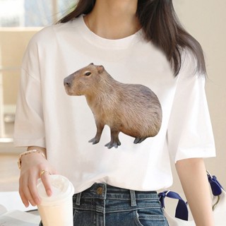 Capybara เสื้อยืดลําลอง แขนสั้น พิมพ์ลายกราฟฟิค มังงะ สีขาว สไตล์สตรีท สําหรับผู้ชาย 2022