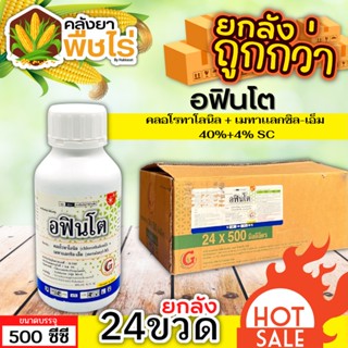 🌽 💥💥 สินค้ายกลัง 💥💥 อฟินโต (คลอโรทาโลนิล+เมทาเเลกซิล-เอ็ม) 1ลัง500ซีซี*24ขวด