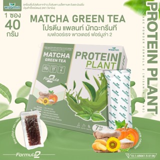 Protein Plant โปรตีนแพลนท์ สูตร 2 (รสชาเขียว) โปรตีนพืช 5ชนิด ข้าว ถั่วลันเตา เม็ดทานตะวัน ฝักทอง มันฝรั่ง (7 ซอง/กล่อง)