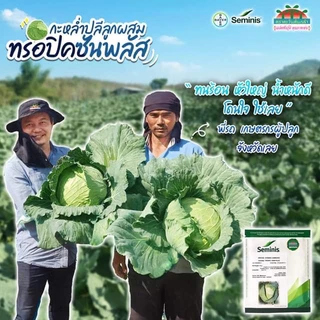 เมล็ดพันธุ์กะหล่ำ ทรอปิคซัน พลัส (Tropic Sun Plus) ขนาด 25 กรัม ลอตใหม่