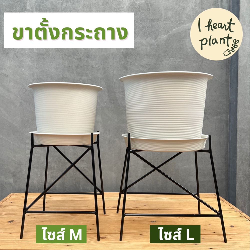 ขาตั้งกระถาง ขาตั้งต้นไม้ ขนาด 12 และ 15 นิ้ว | Pot stand size 12 and 15 inch