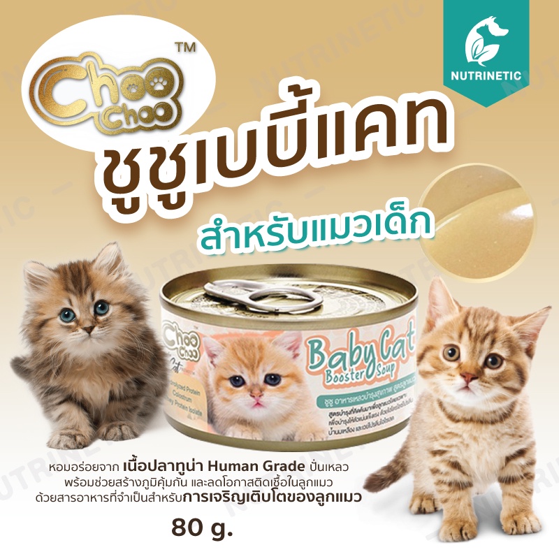 #เสริมภูมิคุ้มกันลูกแมว #อาหารลูกแมว #ชูชูเบบี้แคท #นมแมวทดแทน #แมวอายุ1เดือน
