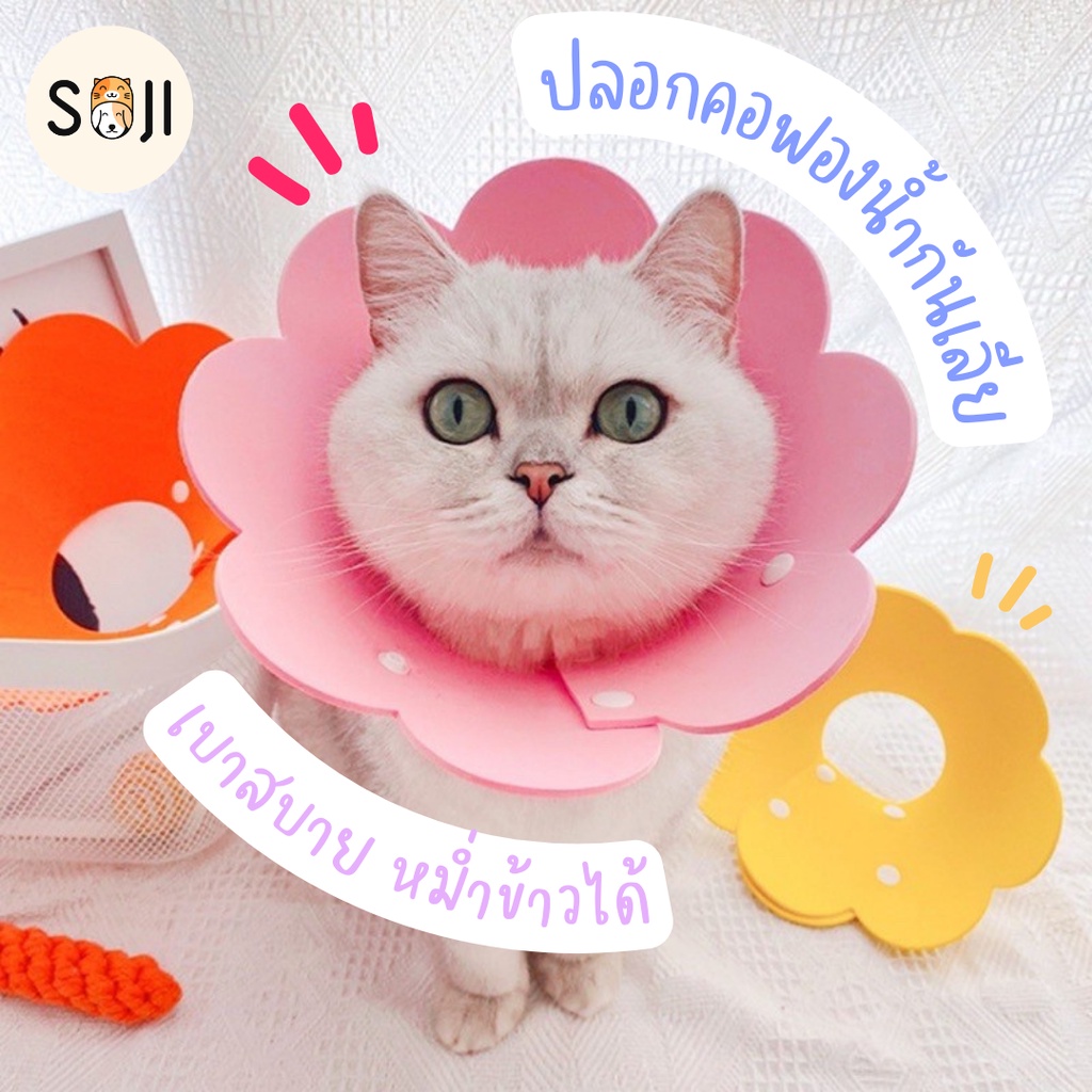 พร้อมส่ง😻🐶[วัสดุนุ่ม ไม่ระคายคอน้อง]ถอดซักได้ คอลล่าแมว collar แมว ลำโพงกันแมวเลีย ปลอกคอกันเลีย น้ำหนักเบา ส่งจากไทย
