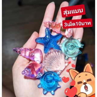 ของแต่งตู้ปลา​หอยหลายสี สีสู้ไฟมาก​ น่ารัก​  3เม็ด10บาท