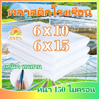 พลาสติกโรงเรือน พลาสติกใส พลาสติกคลุมโรงเรือน กันฝนgreenhouse หนา 150 ไมครอน UV7% โรงเรือนแคคตัส พลาสติกปูบ่อ กันสาด6×10