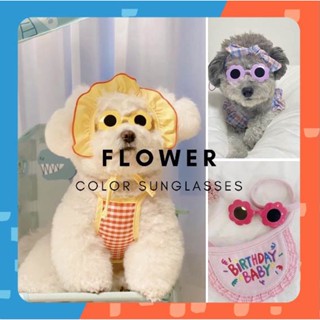 [🚚 พร้อมส่ง] Flower Color Sunglasses แว่นตาสัตว์เลี้ยง แว่นตาแมวรูปดอกไม้