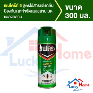 Chaindrite เชนไดร้ท์ 5 สูตรไร้สารแต่งกลิ่น สเปรย์กำจัดยุงและแมลงในบ้านเรือน ขนาด 300 ml. ยกลัง