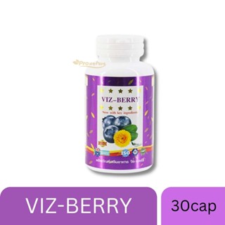 อาหารเสริม วิตามินบำรุงสายตา Pro viz berry 30 capsule 4489