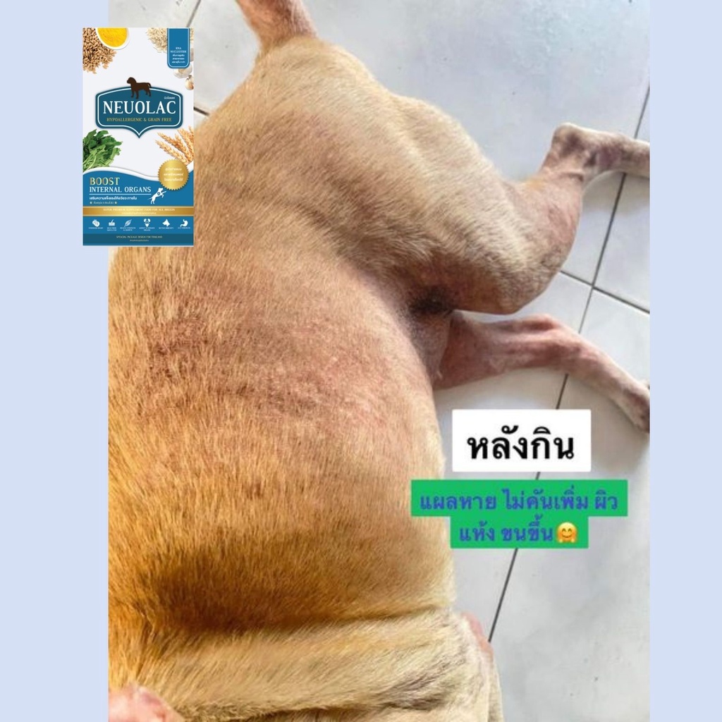 อาหารเสริม NEUOLAC ขนาดทดลอง เม็ดขนาด 6 มม. บำรุงร่างกายจากการป่วยผ่าตัดบำรุงเส้นขน เเบบเม็ดสำหรับสุนัขพันธุ์ใหญ่-ก - รูปที่ 3
