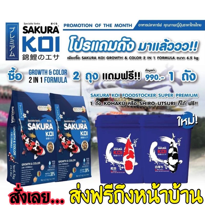 โปรแถมถัง Sakura Koi ส่งฟรีอาหารปลาคาร์ฟ ซากุระโค่ย สูตรเร่งโตเร่งสี 2in1 ซื้อ 65 กก 2 ถุง 5255