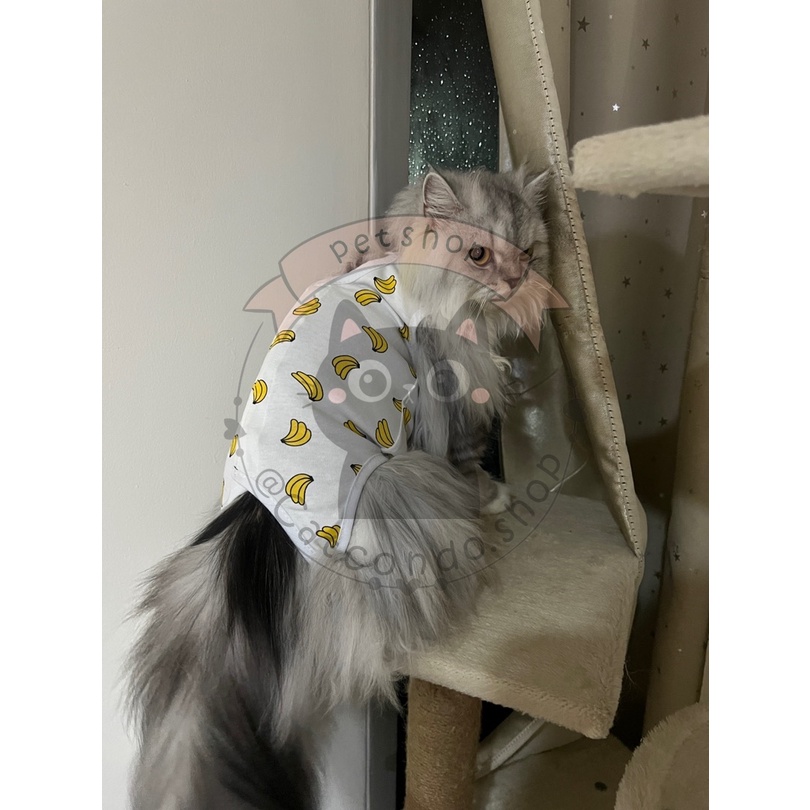 รูปภาพ 9