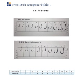 CHINU มี 2 แบบ (ตูดแบน , มีรูมีเงี่ยง)