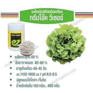 เมล็ดผักสลัด แบบเคลือบ กระปุก1000 เมล็ด(Enza)