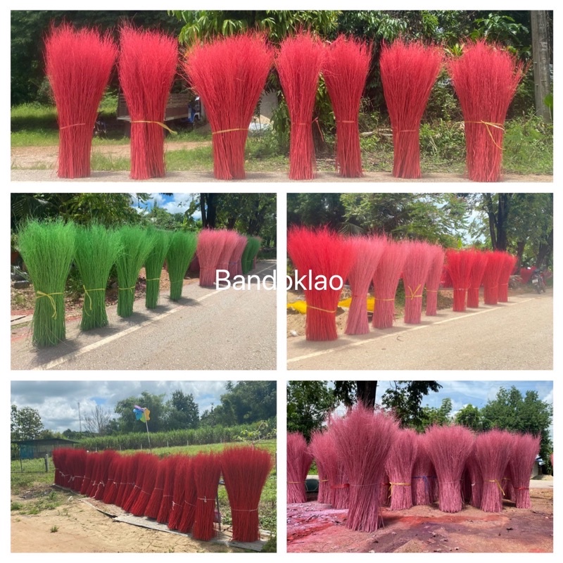 หญ้าขัดมอญ ไม้ย้อมสี ไม้งา ไม้กวาด  หญ้าหลากสี ดอกไม้แต่งร้าน ตกแต่งคาเฟ่ ตกแต่งสวน ราคาต่อ1กิโล